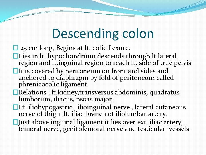 Descending colon � 25 cm long, Begins at lt. colic flexure. �Lies in lt.