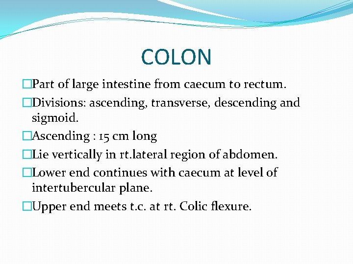 COLON �Part of large intestine from caecum to rectum. �Divisions: ascending, transverse, descending and
