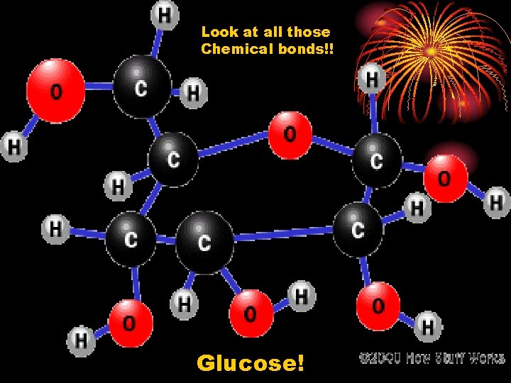 Look at all those Chemical bonds!! Glucose! 