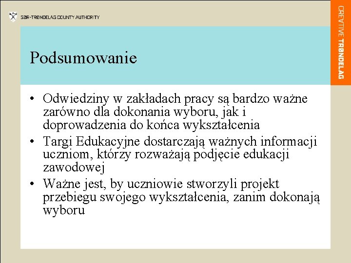 Podsumowanie • Odwiedziny w zakładach pracy są bardzo ważne zarówno dla dokonania wyboru, jak