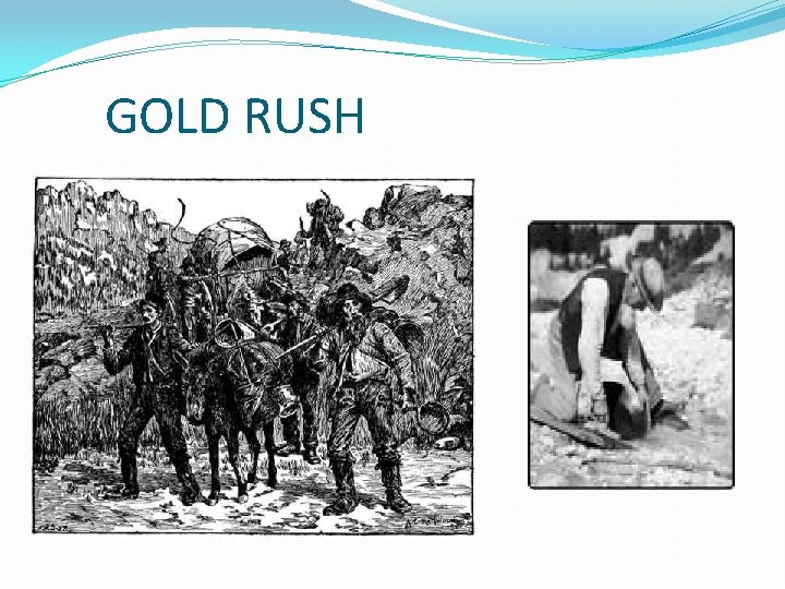 GOLD RUSH 