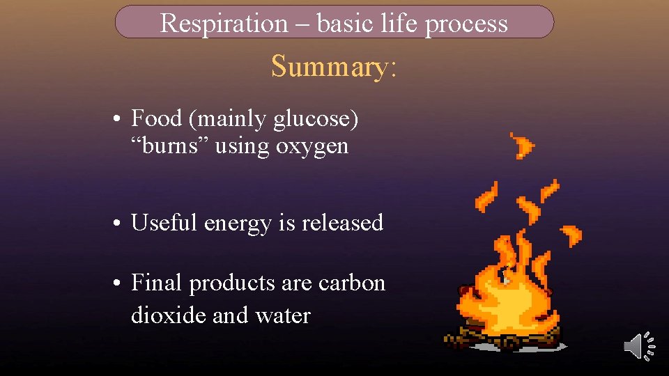 Respiration – basic life process Summary: • Food (mainly glucose) “burns” using oxygen •