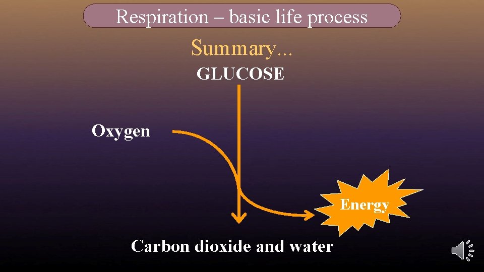 Respiration – basic life process Summary. . . GLUCOSE Oxygen Energy Carbon dioxide and