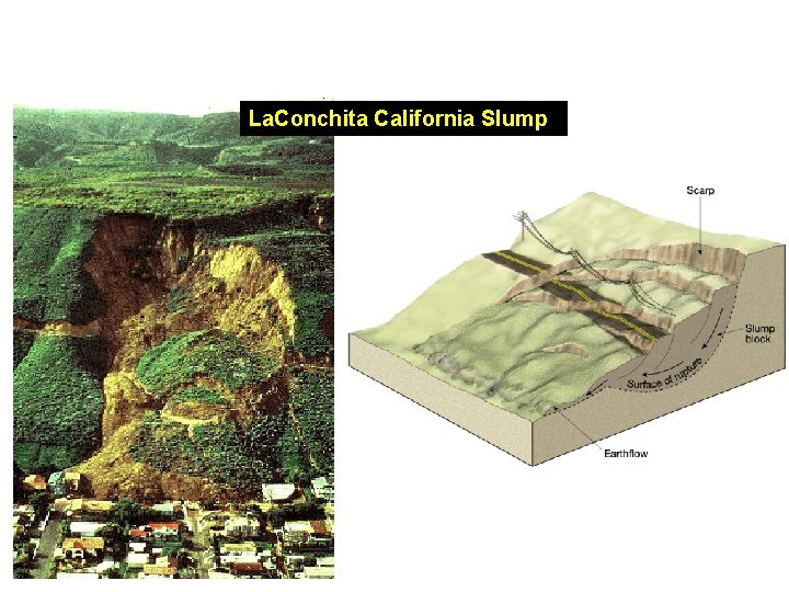 La. Conchita California Slump 