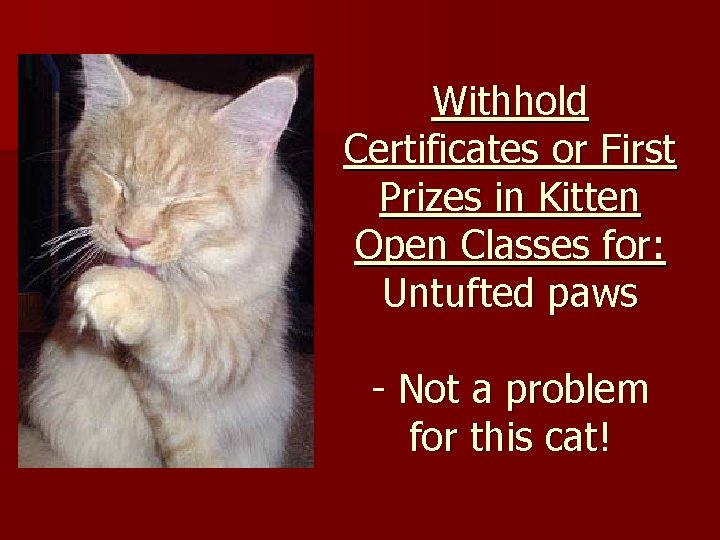 Withhold Certificates or First Prizes in Kitten Open Classes for: Untufted paws - Not