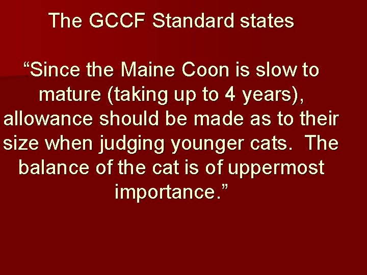 The GCCF Standard states “Since the Maine Coon is slow to mature (taking up