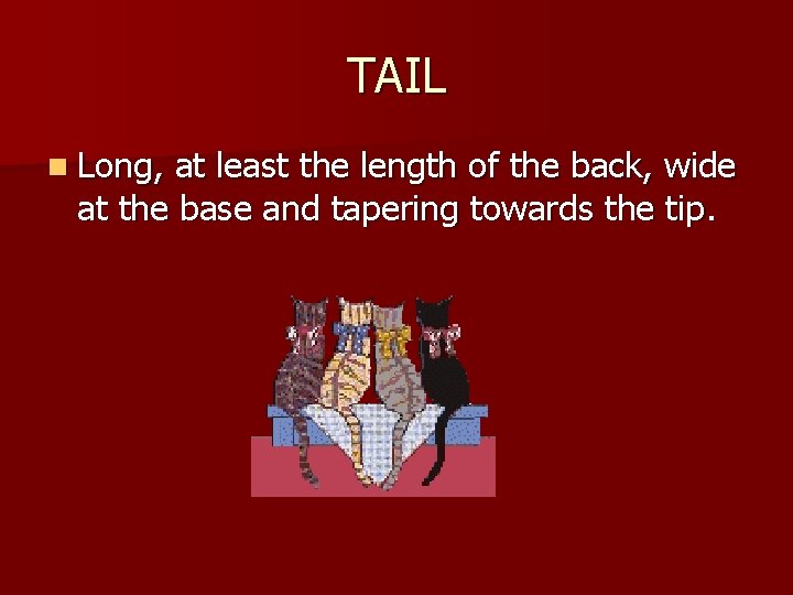 TAIL n Long, at least the length of the back, wide at the base