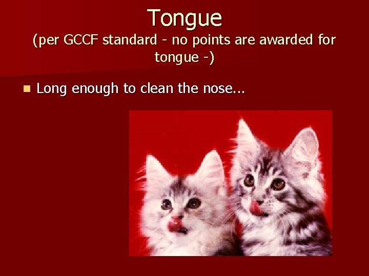 Tongue (per GCCF standard - no points are awarded for tongue -) n Long
