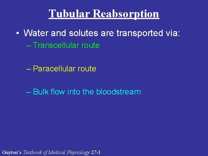 Tubular Reabsorption • Water and solutes are transported via: – Transcellular route – Paracellular