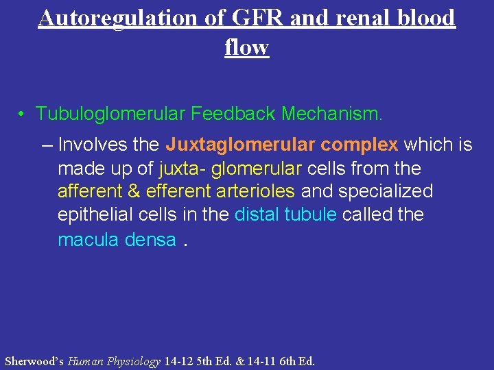 Autoregulation of GFR and renal blood flow • Tubuloglomerular Feedback Mechanism. – Involves the