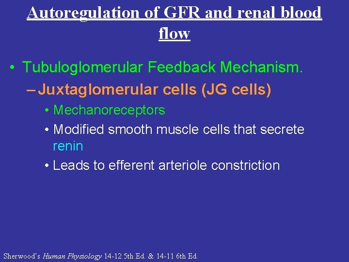 Autoregulation of GFR and renal blood flow • Tubuloglomerular Feedback Mechanism. – Juxtaglomerular cells