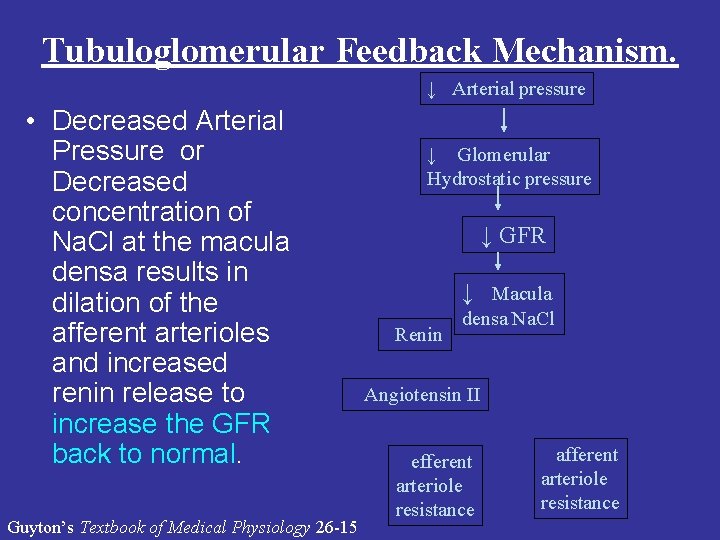 Tubuloglomerular Feedback Mechanism. ↓ Arterial pressure • Decreased Arterial Pressure or Decreased concentration of