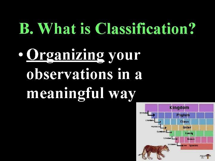 B. What is Classification? Classification • Organizing your observations in a meaningful way 