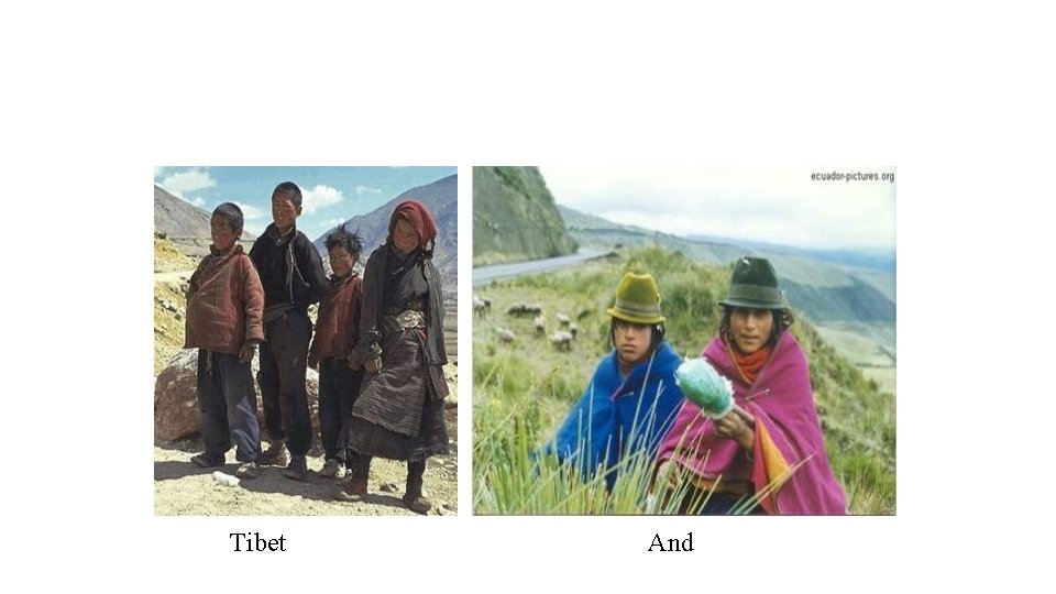 Tibet And 