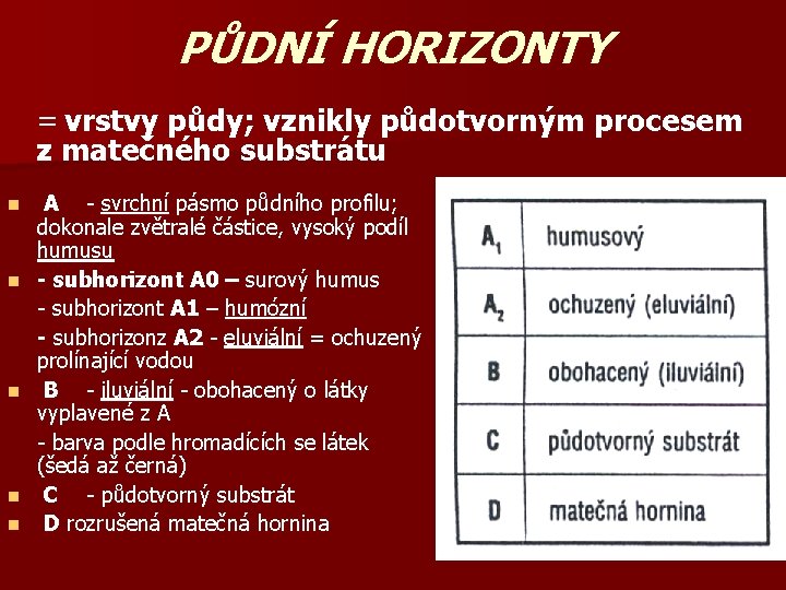 PŮDNÍ HORIZONTY = vrstvy půdy; vznikly půdotvorným procesem z matečného substrátu n n n