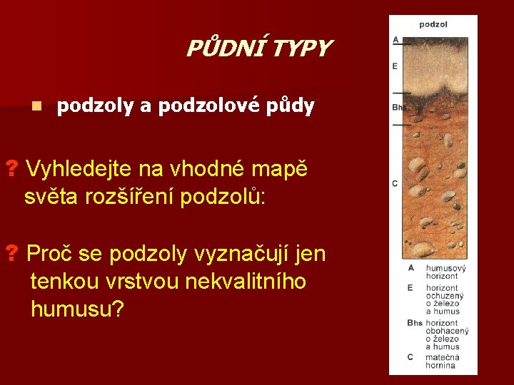 PŮDNÍ TYPY n podzoly a podzolové půdy ? Vyhledejte na vhodné mapě světa rozšíření