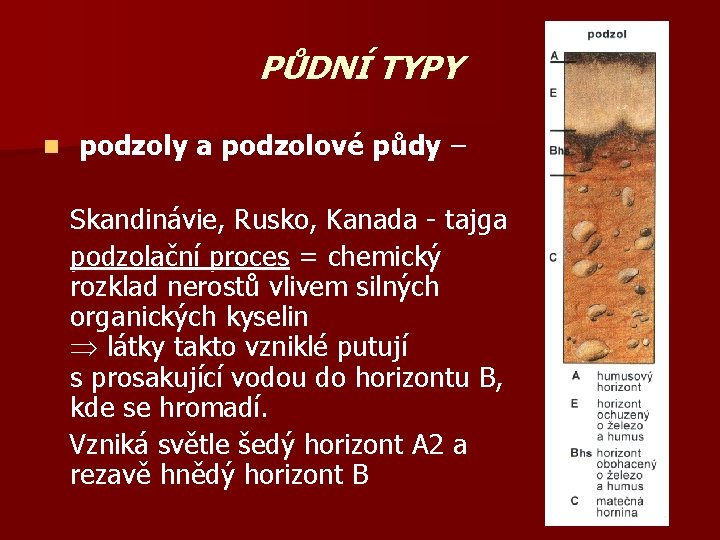 PŮDNÍ TYPY n podzoly a podzolové půdy – Skandinávie, Rusko, Kanada - tajga podzolační