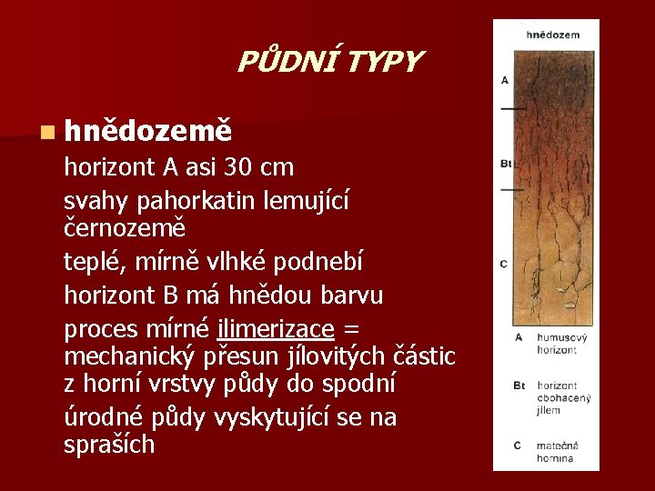 PŮDNÍ TYPY n hnědozemě horizont A asi 30 cm svahy pahorkatin lemující černozemě teplé,