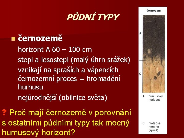 PŮDNÍ TYPY n černozemě horizont A 60 – 100 cm stepi a lesostepi (malý