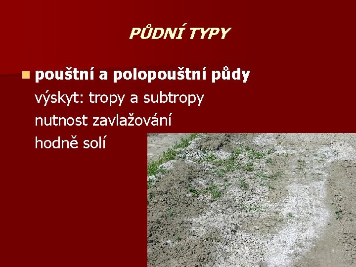 PŮDNÍ TYPY n pouštní a polopouštní půdy výskyt: tropy a subtropy nutnost zavlažování hodně