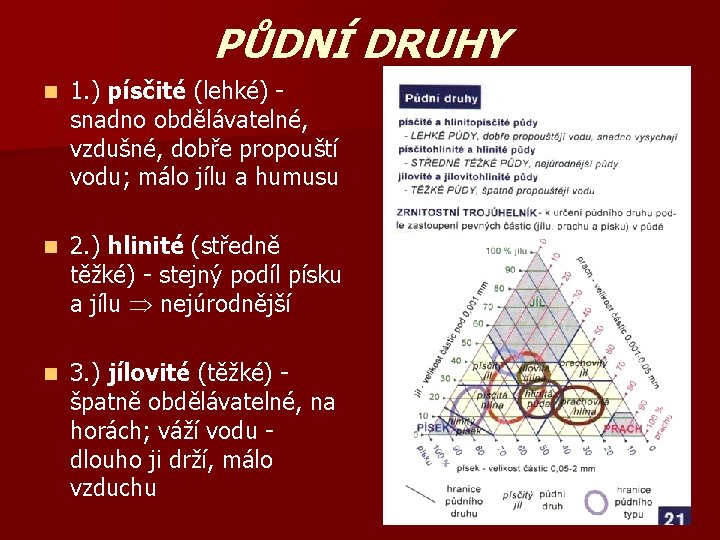 PŮDNÍ DRUHY n 1. ) písčité (lehké) snadno obdělávatelné, vzdušné, dobře propouští vodu; málo