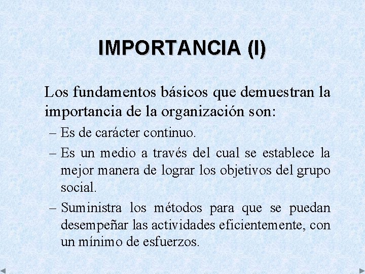 IMPORTANCIA (I) Los fundamentos básicos que demuestran la importancia de la organización son: –