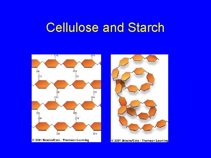 Cellulose and Starch 