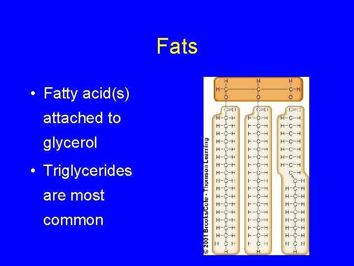 Fats • Fatty acid(s) attached to glycerol • Triglycerides are most common 