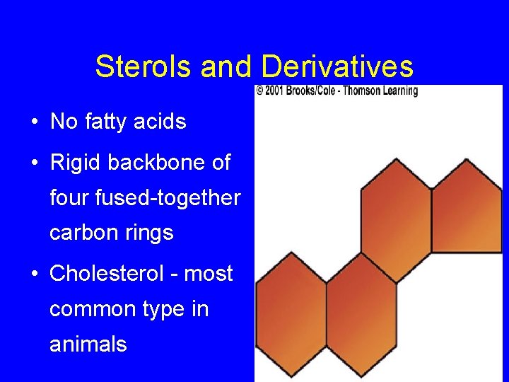 Sterols and Derivatives • No fatty acids • Rigid backbone of four fused-together carbon