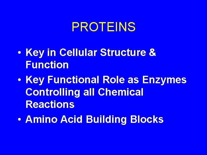 PROTEINS • Key in Cellular Structure & Function • Key Functional Role as Enzymes