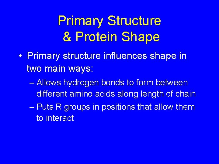 Primary Structure & Protein Shape • Primary structure influences shape in two main ways: