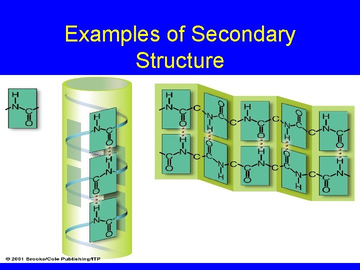 Examples of Secondary Structure 