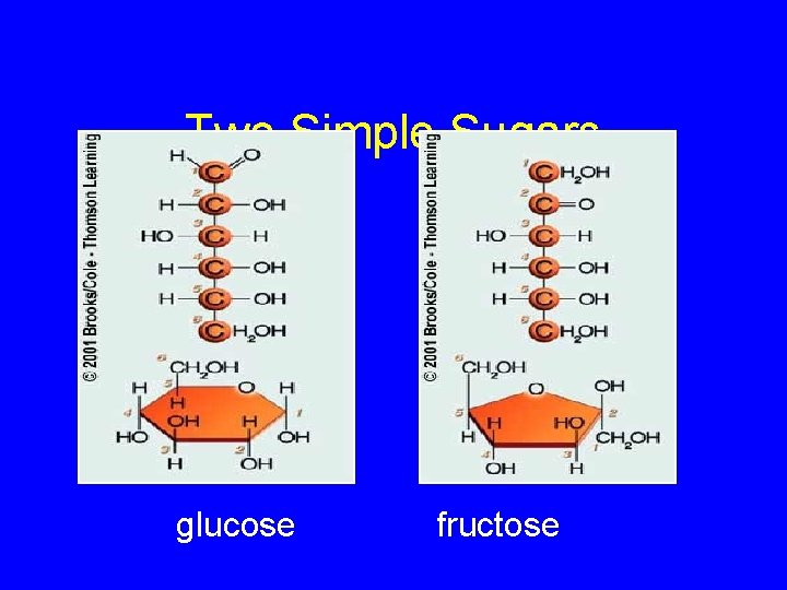 Two Simple Sugars glucose fructose 