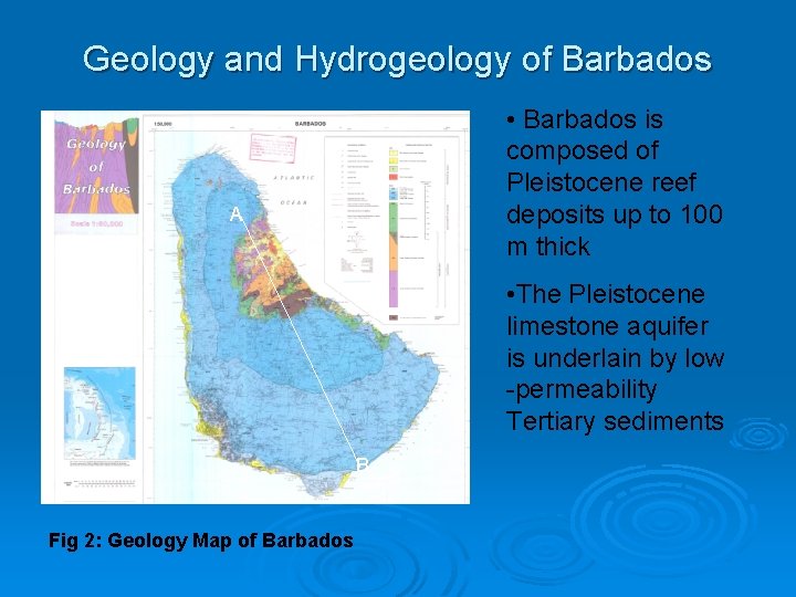 Geology and Hydrogeology of Barbados • Barbados is composed of Pleistocene reef deposits up