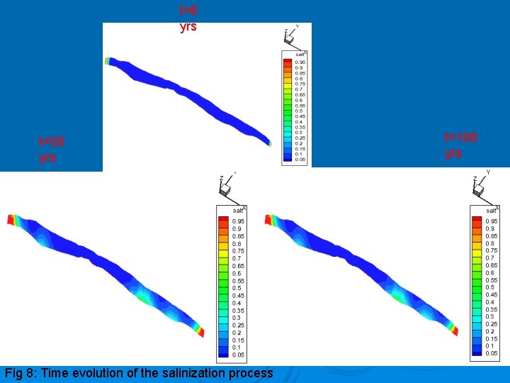 t=0 yrs t=50 yrs Fig 8: Time evolution of the salinization process t=100 yrs