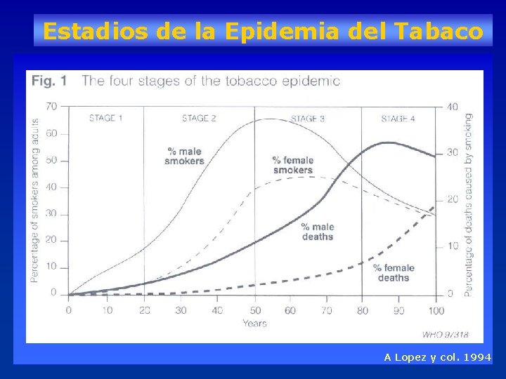 Estadios de la Epidemia del Tabaco A Lopez y col. 1994 