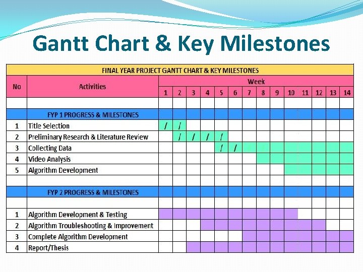 Gantt Chart & Key Milestones 