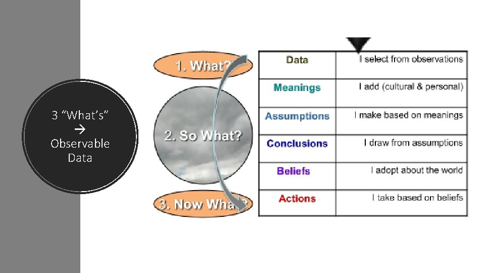 3 “What’s” Observable Data 