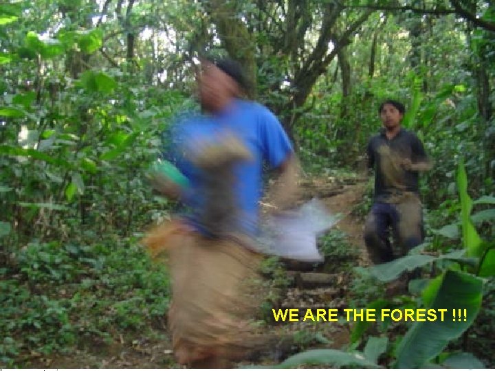 ROTARY CLUB SAN JOSE ROTARACT CLUB SAN JOSE WE ARE THE FOREST !!! WITH