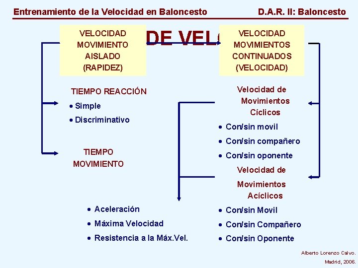 Entrenamiento de la Velocidad en Baloncesto D. A. R. II: Baloncesto TIPOS DE VELOCIDAD