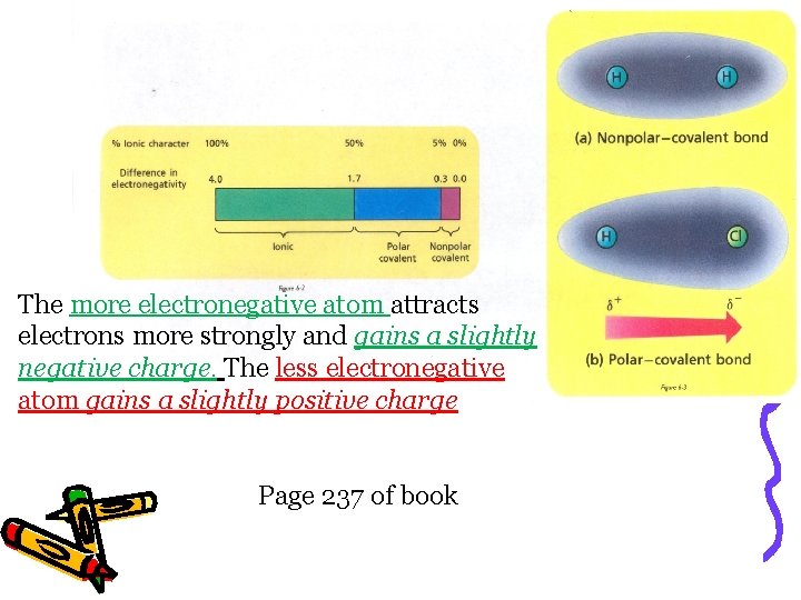 The more electronegative atom attracts electrons more strongly and gains a slightly negative charge.