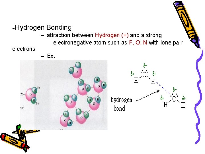 ● Hydrogen Bonding electrons – attraction between Hydrogen (+) and a strong electronegative atom