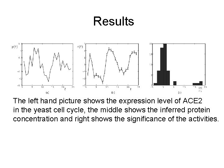 Results The left hand picture shows the expression level of ACE 2 in the