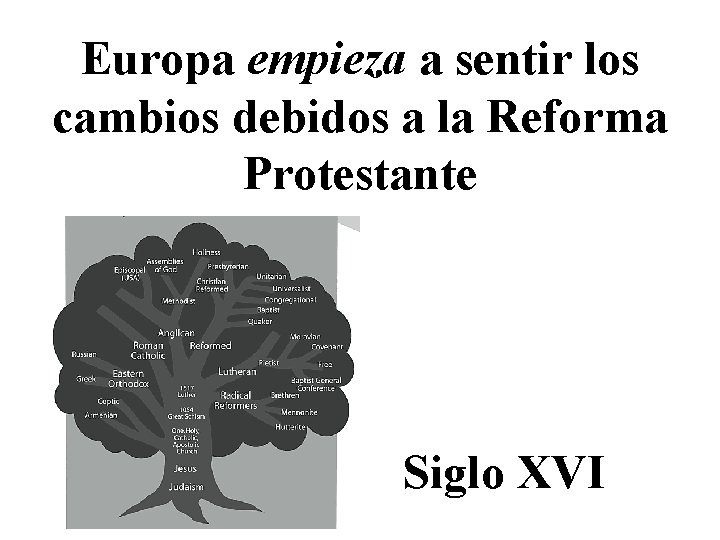 Europa empieza a sentir los cambios debidos a la Reforma Protestante Siglo XVI 