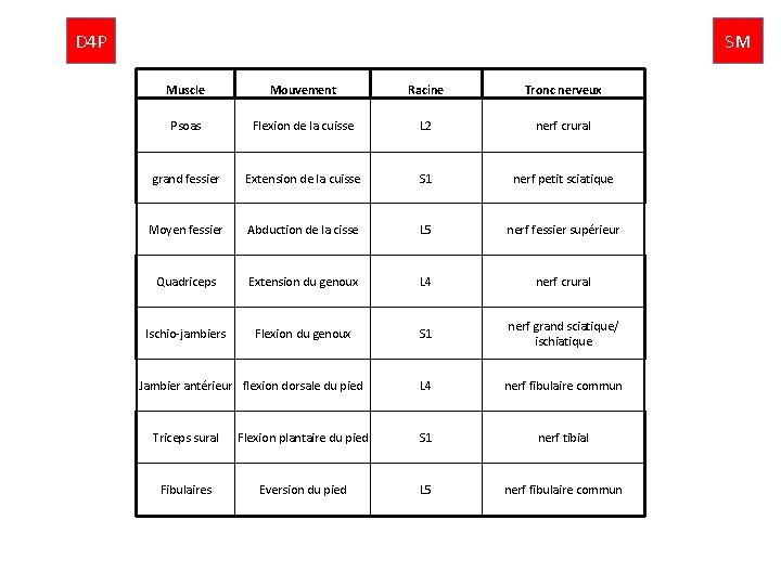 D 4 P SM Muscle Mouvement Racine Tronc nerveux Psoas Flexion de la cuisse