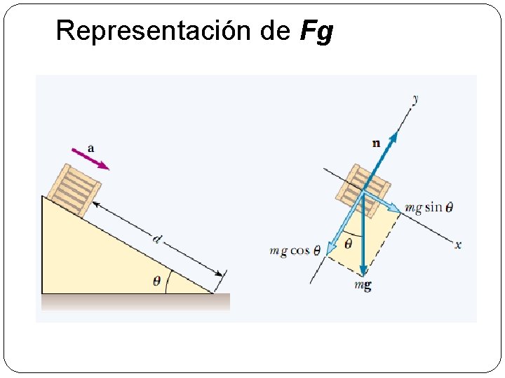 Representación de Fg 