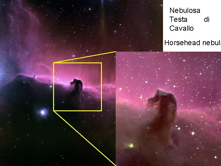 Nebulosa Testa di Cavallo Horsehead nebula Il Cielo come laboratorio. Spettroscopia delle nebulose- 2008