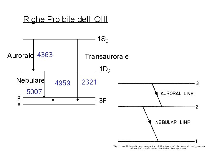 Righe Proibite dell’ OIII 1 S 0 Aurorale 4363 Transaurorale 1 D 2 Nebulare