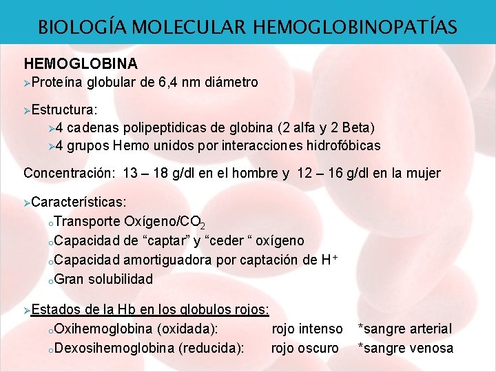 BIOLOGÍA MOLECULAR HEMOGLOBINOPATÍAS HEMOGLOBINA ØProteína globular de 6, 4 nm diámetro ØEstructura: Ø 4