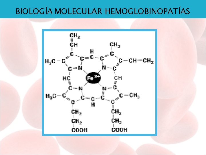 BIOLOGÍA MOLECULAR HEMOGLOBINOPATÍAS 